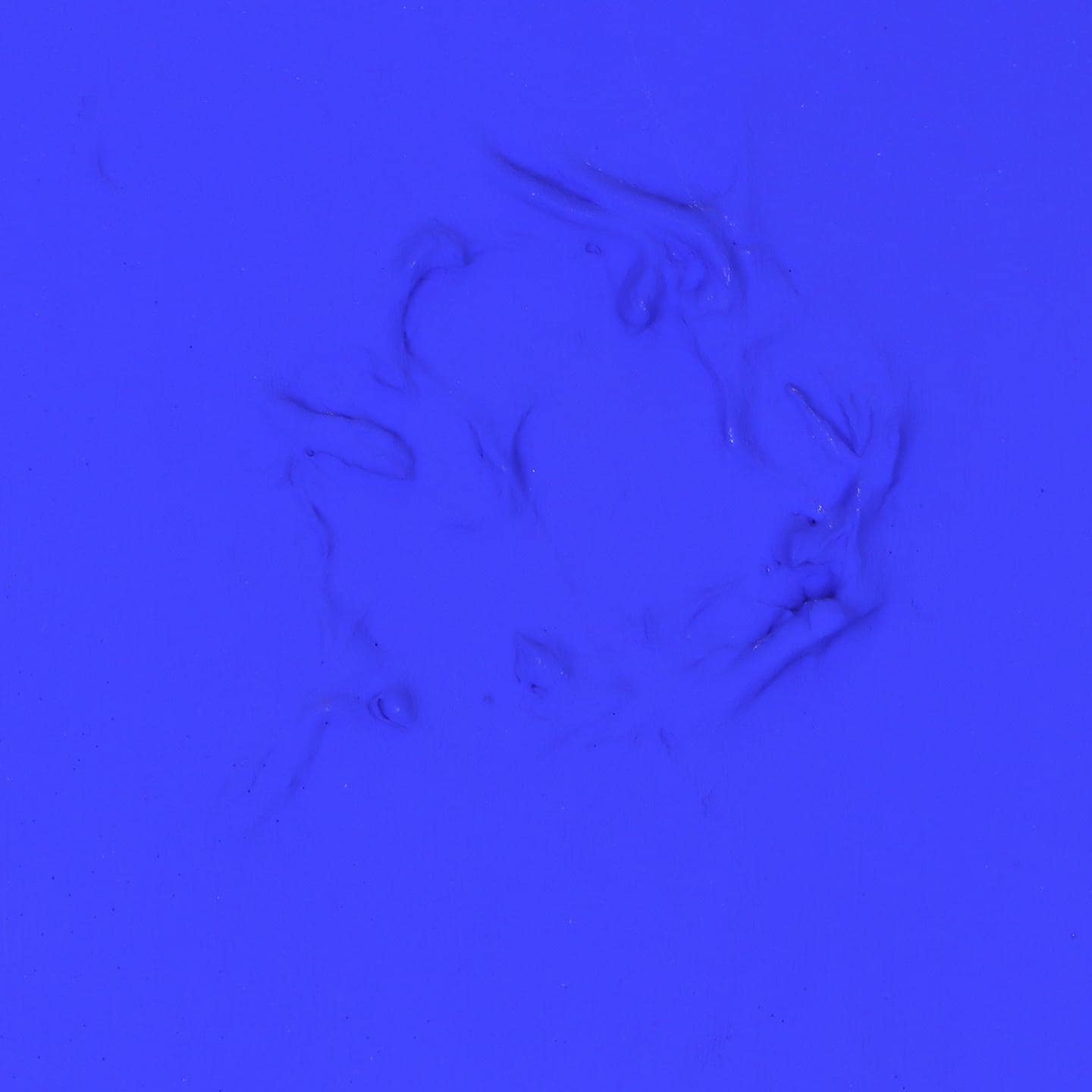 Ultramarinblauer Hund IKB 0002
