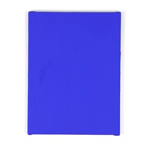Ultramarine Dog IKB 0003