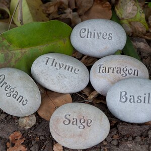 May include: Six gray stones with the names of herbs written on them: Oregano, Thyme, Chives, Tarragon, Basil, and Sage.