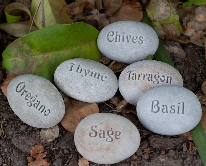 May include: Six gray stones with the names of herbs written on them: Oregano, Thyme, Chives, Tarragon, Basil, and Sage.