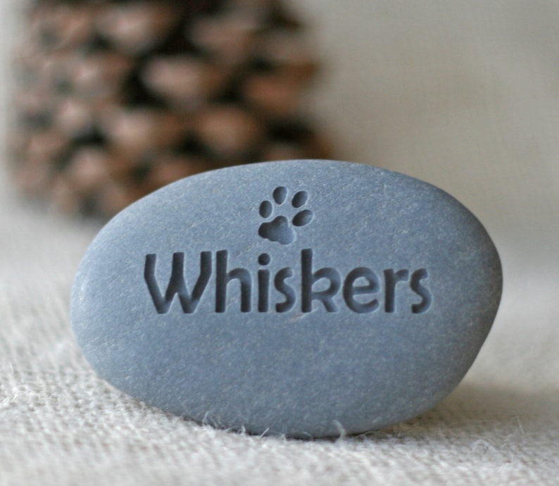 May include: A gray stone with the word "Whiskers" engraved on it. A paw print is also engraved above the word.