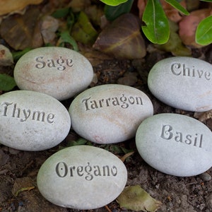 May include: Six gray stones with the names of herbs written on them: Sage, Thyme, Tarragon, Basil, Oregano, and Chives.