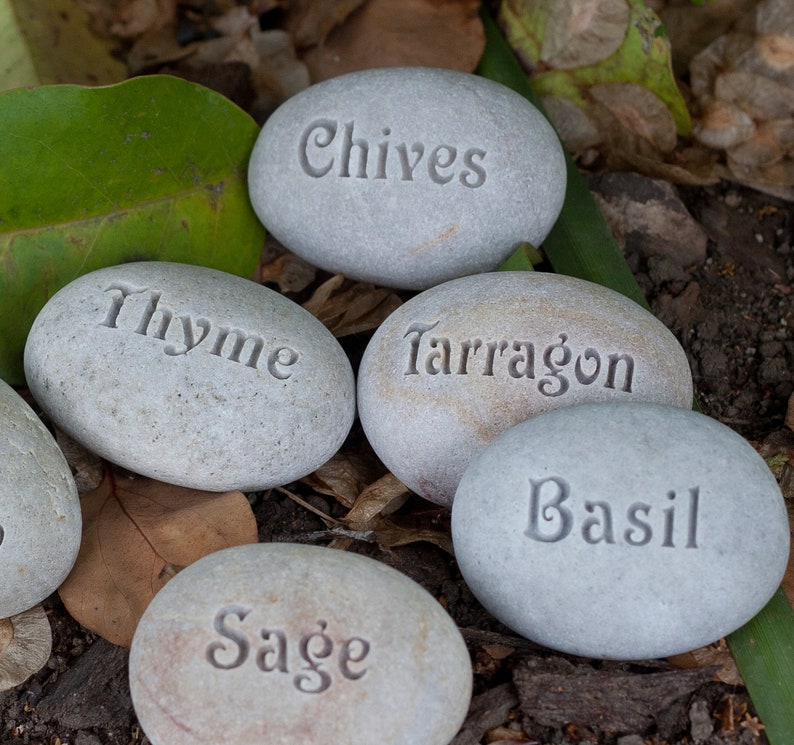May include: A set of gray stones with the names of herbs written on them: Chives, Thyme, Tarragon, Basil, and Sage.
