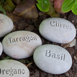 May include: Five gray stones with the names of herbs written on them: Chives, Tarragon, Basil, Oregano. The stones are arranged in a semi-circle on a bed of brown mulch.
