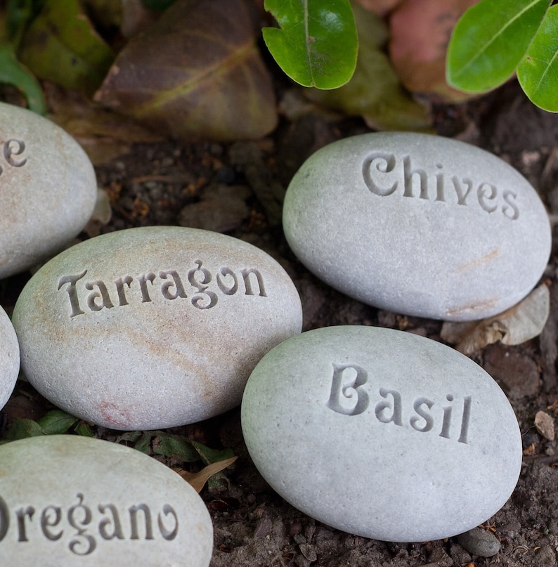 May include: Five gray stones with the names of herbs written on them: Chives, Tarragon, Basil, Oregano. The stones are arranged in a semi-circle on a bed of brown mulch.