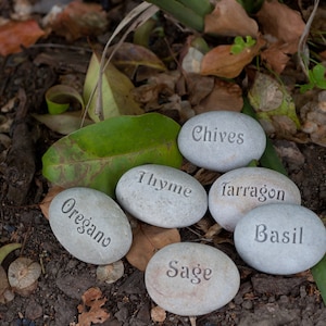 May include: Six gray stones with the names of herbs written on them: Chives, Thyme, Tarragon, Basil, Sage, and Oregano. The stones are on a bed of brown dirt and green leaves.