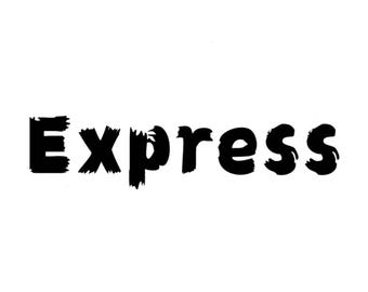 express delivery