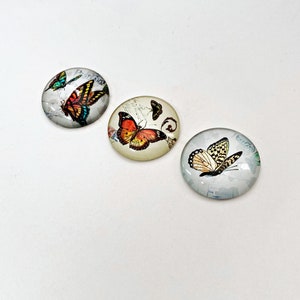 Butterfly glass magnets, set of 3 Fridge Magnets, botanical butterfly, fridge magnets, mothers day gift, symbolic magnets, butterfly gift