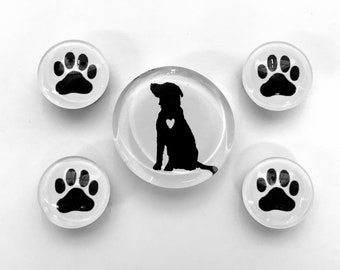 Lab Love Glass Magnet Set. Labrador Retriever magnets, paw print magnets, fridge magnets, gift for dog walker, dog sitter, dog mom, dog dad