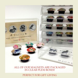 May include: A set of colorful magnets in clear plastic boxes. The magnets feature various designs, including animals, flowers, and geometric patterns. The text "FAUNA" and "Magnets - Handmade from our original charcoal drawings" is visible on the box. The text "Tanner Glass" is also visible on the box. The text "MAGNE" is visible on the bottom of the box.