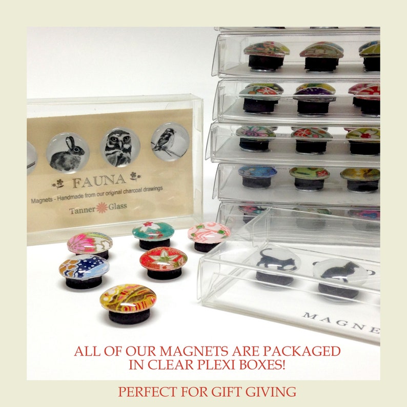 May include: A set of colorful magnets in clear plastic boxes. The magnets feature various designs, including animals, flowers, and geometric patterns. The text "FAUNA" and "Magnets - Handmade from our original charcoal drawings" is visible on the box. The text "Tanner Glass" is also visible on the box. The text "MAGNE" is visible on the bottom of the box.