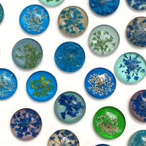 Set met geperste en gedroogde bloemen botanische magneet: blauwgroen. Glasmagneten push pins, bloemen koelkastmagneten, botanisch cadeau, tuinman, uniek