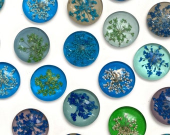 Pressed Dried Flower Botanical Magnet Set: Blues Greens. Cute Glass Magnets Push Pins, floral fridge Magnets, botanical gift, gardener