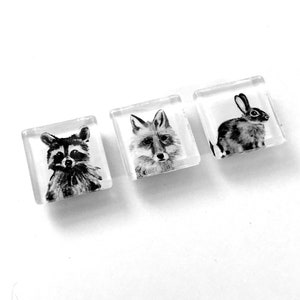 Forest Animal Magnets, hand drawn images. Raccoon, Fox, Bunny Rabbit square glass magnet set, fridge magnets, woodland magnets, animal,