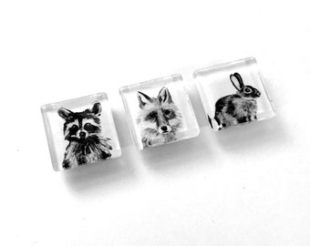 Forest Animal Magnets, hand drawn images. Raccoon, Fox, Bunny Rabbit square glass magnet set, fridge magnets, woodland magnets, animal,