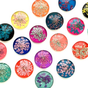 Botanische magneetset geperste gedroogde bloem, schattige glasmagneten push pins, kleurrijke bloemenmagneten, koelkastmagneten, botanisch cadeau, tuinman