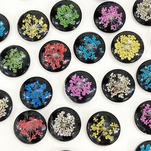 Botanische magneetset geperste gedroogde bloem: vet zwart schattige glasmagneten push pins, bloemen koelkastmagneten, botanisch cadeau, tuinman