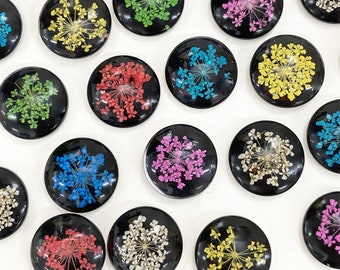 Pressed Dried Flower Botanical Magnet Set: Bold Black Cute Glass Magnets Push Pins, floral fridge Magnets, botanical gift, gardener