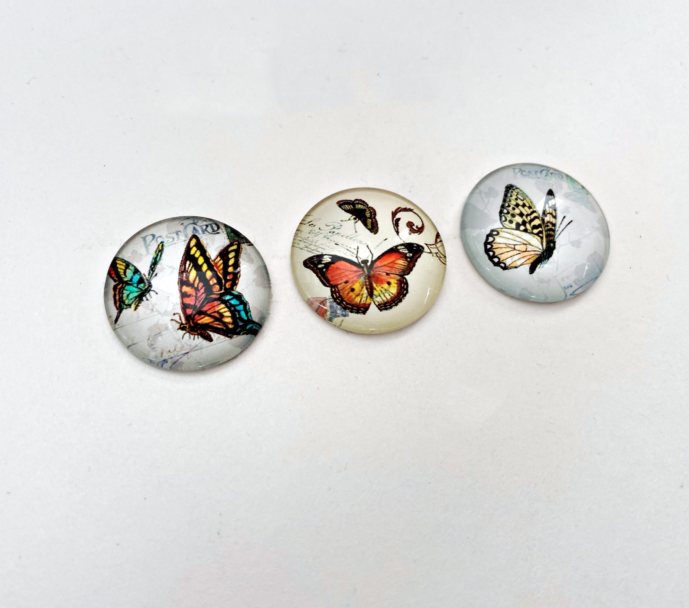 Butterfly glass set of 3 Fridge botanical Etsy