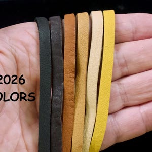 6 Feet USA DEERHIDE LEATHER 1/4 Inch Wide Flat Cord