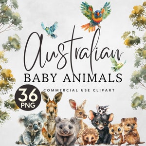 Australische Baby Tiere Clipart | Kinderzimmer Poster PNG | Koala und Känguru | Kommerzielle Lizenz | Sofort Download