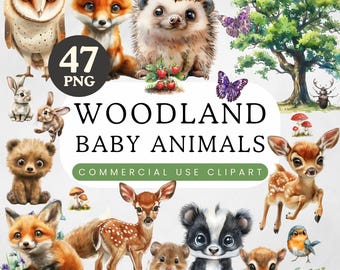 Woodland Creatures Clipart Pack | Forest Animals Watercolour PNG | Cute Baby Shower | Boho Nursery Decor | Woodland Baby Animals Wall Art