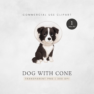 Dog with Cone Clipart, Black and White Puppy Wearing a Cone PNG, Border Collie Cone Head Clip Art, Cone of Shame Graphic, Watercolor Dogs