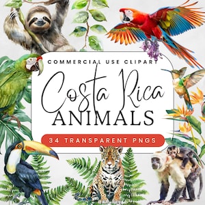 Costa Rica Tiere PNG Clip Art, Regenwald Tiere Clipart, Faultier, Ara und Dschungel Panther, Tropische Wildtiergrafik Sublimation