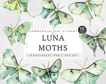 Luna Moth Clipart, Vintage Moth Illustration, Watercolor Pastel Luna Moth PNG, Insect Clip Art, Boho Mystical Spiritual Digital Design