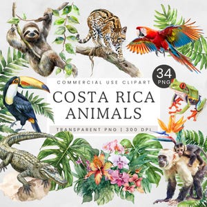 Imágenes prediseñadas de animales de Costa Rica PNG, imágenes prediseñadas de animales de la selva tropical, perezoso, guacamayo y pantera de la jungla, gráficos de sublimación de vida silvestre tropical