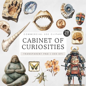 Cabinet of Curiosities PNG digitale, Clipart di oggetti antichi per diari spazzatura, Clip art di fossili, Illustrazioni di storia naturale, Corno di unicorno