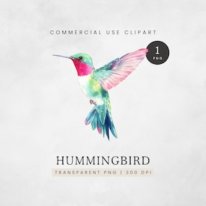 Watercolor Clipart Hummingbird, Ruby-Throated Hummingbird Inspired PNG, Pink and Green Bird Clip Art, Colourful Hummingbird Image