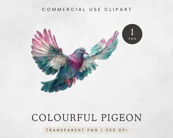 Colourful Watercolour Pigeon Clipart, Flying Bird Illustration, Baroque Rainbow Pigeon PNG