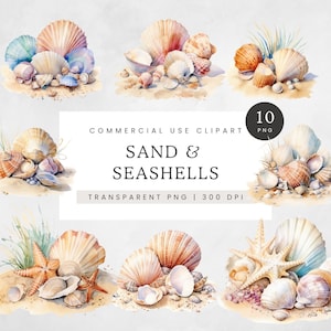 Aquarell Muscheln Clipart, Muschel Clip Art, gedeckte Farben Muscheln und Koralle PNG, Neutral Sommer Strand Clipart, Sand und Meer Grafiken