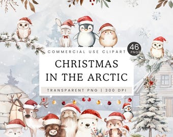 Arctic Animals Watercolor Clipart, Christmas Polar Bears PNG, Penguin, Fox, North Pole Xmas, Holiday Clip Art, Winter Wonderland, Nursery