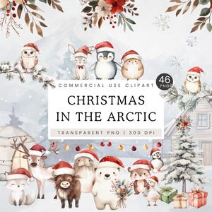Clipart aquarelle animaux de l'Arctique, Noël ours polaires PNG, pingouin, renard, Noël au pôle Nord, clipart vacances, hiver au pays des merveilles, chambre d'enfant