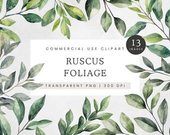 Ruscus Foliage Clipart, Branch and Leaves PNG, Botanical Greenery Clip Art, Wedding Greenery Graphics, Essential Foliage Images
