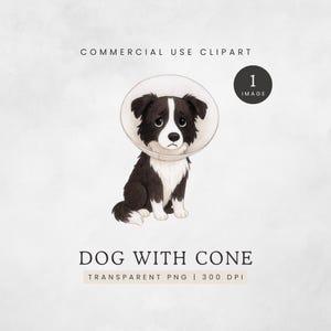 Clipart de perro con cono, cachorro blanco y negro con cono PNG, clip art de cabeza de cono de border collie, gráfico de cono de la vergüenza, perros de acuarela