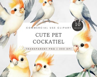 Cute Cockatiel Clipart PNG Bundle, Watercolor Pet Bird Illustrations for Junk Journals, Scrapbooking, Cards & Crafts
