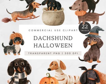 Dachshund Halloween Clipart, Cute Wiener Dog PNG, Watercolor Halloween Puppies, Witch Pumpkin Sausage Dog Clip Art