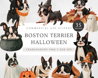 Boston Terrier Halloween Clipart, Cute Spooky Dogs PNG, Watercolor Halloween Puppies, Witch Ghost Pumpkin Dog Clip Art