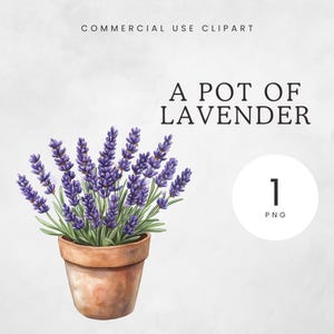 Lavender Floral Clipart, Pot of Lavender Flowers PNG, Purple Flowers, Flowering Herbs, Kitchen Garden Clip Art, Botanical Illustrations