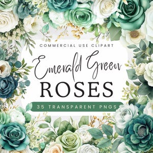 Smaragdgrüne Rosen PNG | Hochzeit & Braut Aquarell Blumen Clipart | Hellgrüne Creme Rosen mit Eukalyptus | Blumensträuße, Bordüren, Rahmen