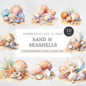 Aquarelle coquillages Clipart, clipart de coquillages, coquillages aux couleurs douces et corail PNG, clipart plage d'été neutre, graphiques de sable et de l'océan