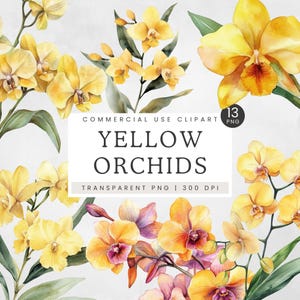 Gul orkidé Clipart, akvarell bröllopsblommor PNG, tropiska orkidéer Clip Art, gula blommor, sommarbruddusch, vårbröllop