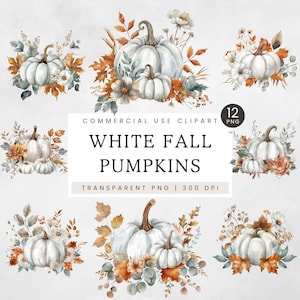 White Pumpkin PNG Clipart, White & Orange Watercolour Clip Art, Digital Design Elements, Fall Stationery, Botanicals, Harvest, Thanksgiving