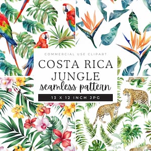 Motivo senza soluzione di continuità con animali della Costa Rica, carta digitale con animali della foresta pluviale, texture di animali selvatici tropicali, sfondi ripetuti della giungla