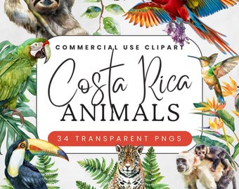 Costa Rica Animals PNG Clip Art, Rainforest Animals Clipart, Sloth, Macaw and Jungle Panther, Tropical Wildlife Graphics Sublimation