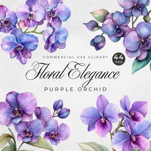 Clipart orchidée violette, aquarelle de fleurs de mariage PNG, clipart d'orchidées tropicales, fleurs violet foncé, douche nuptiale d'été, mariage de printemps