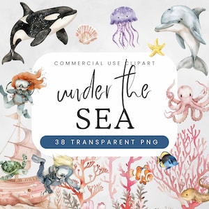 Baby Shower unter dem Meer Clipart | Ocean Kinderzimmer | Unterwasser Aquarell PNG | Niedliche Meerestiere für Kinder | Kommerzielle Nutzung